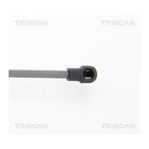 Gasfeder, Koffer-/Laderaum TRISCAN 8710 112011 f&uuml;r MINI, hinten links