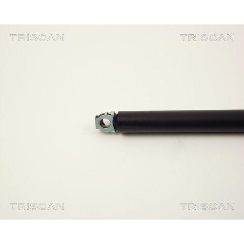 Gasfeder, Koffer-/Laderaum TRISCAN 8710 11203 f&uuml;r BMW