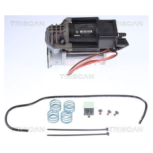 Kompressor, Druckluftanlage TRISCAN 8725 11101 für BMW