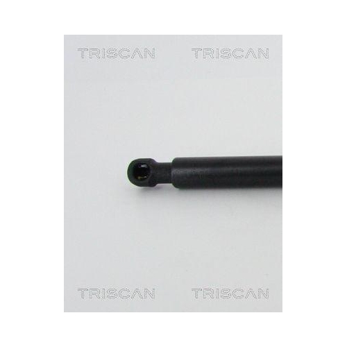 Gasfeder, Koffer-/Laderaum TRISCAN 8710 42244 f&uuml;r MITSUBISHI, hinten links