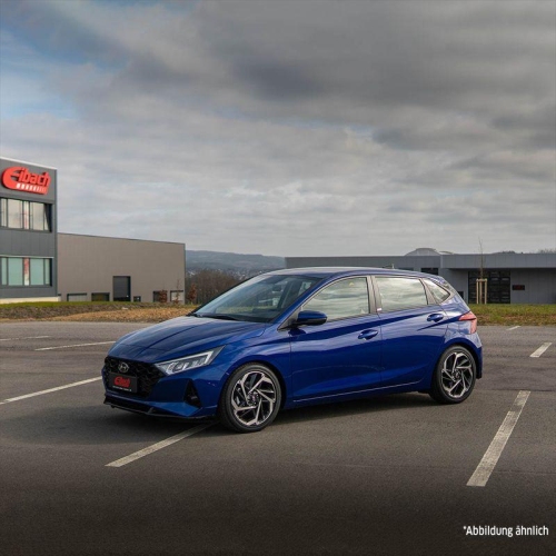 Fahrwerkssatz, Federn EIBACH E10-42-052-01-22 Pro-Kit für