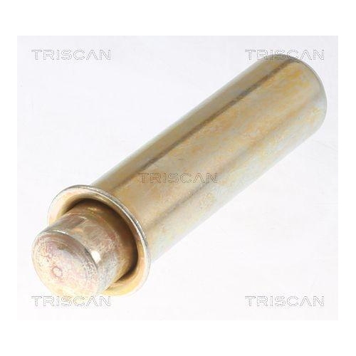 Schwingungsd&auml;mpfer, Zahnriemen TRISCAN 8646 10302 f&uuml;r CITRO&Euml;N FIAT IVECO OPEL