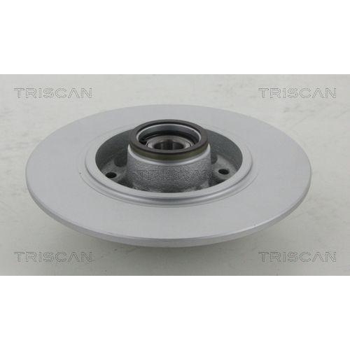 TRISCAN 8120 25173C 2 St&uuml;ck Bremsscheiben COATED f&uuml;r RENAULT, Hinterachse
