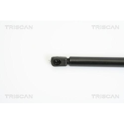Gasfeder, Koffer-/Laderaum TRISCAN 8710 11225 für BMW, hinten links