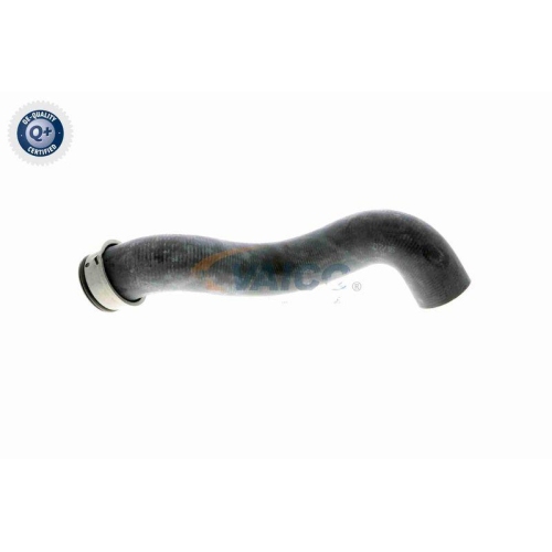 K&uuml;hlerschlauch VAICO V30-1656 Q+, Erstausr&uuml;sterqualit&auml;t f&uuml;r MERCEDES-BENZ, unten