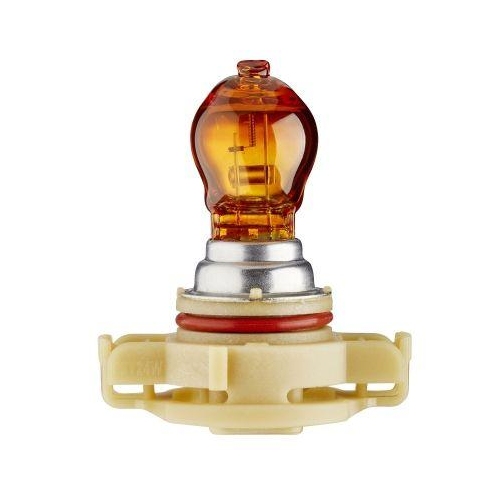 HELLA Gl&uuml;hlampe, Blinkleuchte 8GA 223 569-031 f&uuml;r VW