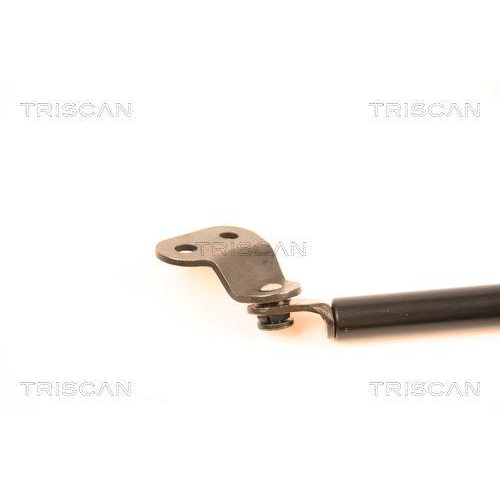 Gasfeder, Koffer-/Laderaum TRISCAN 8710 50229 f&uuml;r MAZDA, links