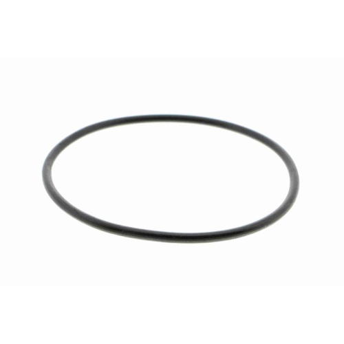 Wasserpumpe, Motorkühlung VAICO V10-50072 Green Mobility Parts für AUDI SEAT VW