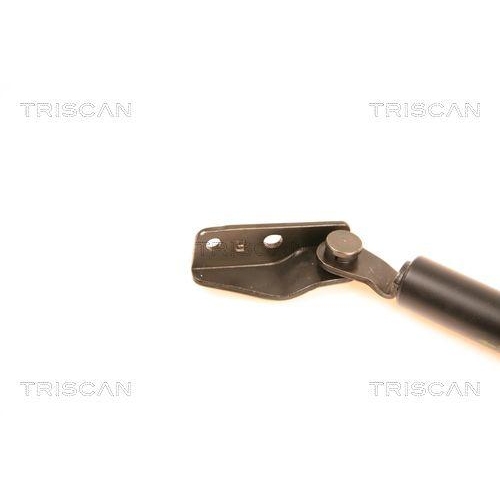 Gasfeder, Koffer-/Laderaum TRISCAN 8710 50230 f&uuml;r MAZDA, rechts