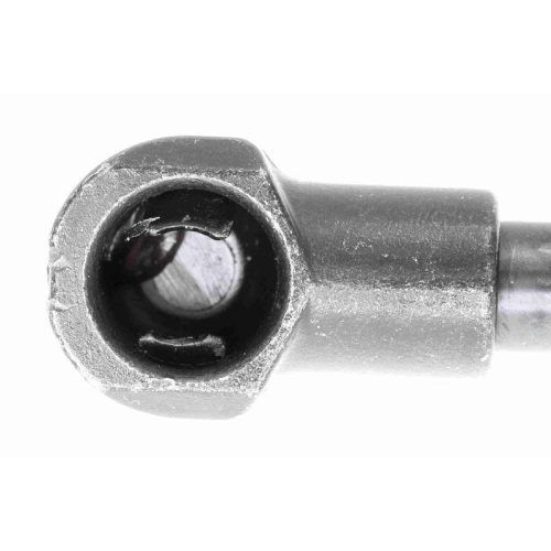 Gasfeder, Motorhaube VAICO V24-0197 Original VAICO Qualit&auml;t f&uuml;r FIAT