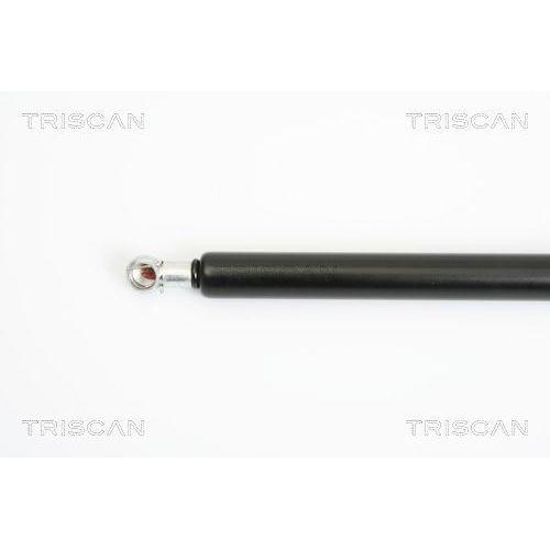 Gasfeder, Koffer-/Laderaum TRISCAN 8710 21206 f&uuml;r CHEVROLET DAEWOO, hinten links