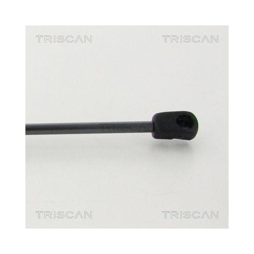 Gasfeder, Koffer-/Laderaum TRISCAN 8710 50264 für MAZDA, hinten links
