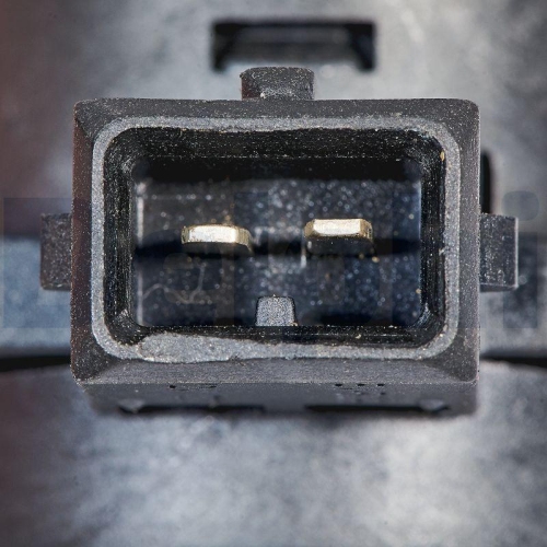 DELPHI EG10647-12B1 AGR-Ventil f&uuml;r NISSAN