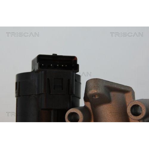 AGR-Ventil TRISCAN 8813 10001 f&uuml;r CITRO&Euml;N FIAT FORD LANCIA PEUGEOT VOLVO