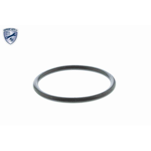 Thermostat, K&uuml;hlmittel VEMO V15-99-1894 EXPERT KITS + f&uuml;r AUDI FORD GMC ISUZU VW