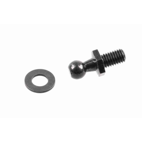 ACKOJA A52-0092 Gasfeder, Koffer-/Laderaum Original ACKOJA Qualit&auml;t f&uuml;r HYUNDAI