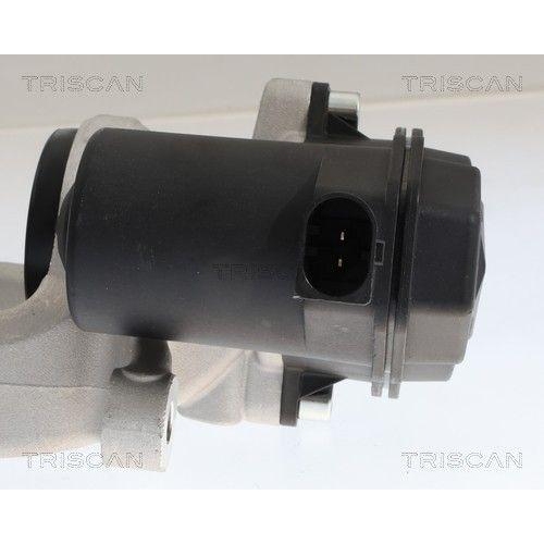 TRISCAN 8175 10252 Bremssattel f&uuml;r CITRO&Euml;N OPEL PEUGEOT VAUXHALL DS