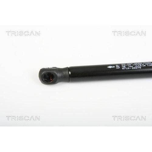 Gasfeder, Koffer-/Laderaum TRISCAN 8710 29275 für