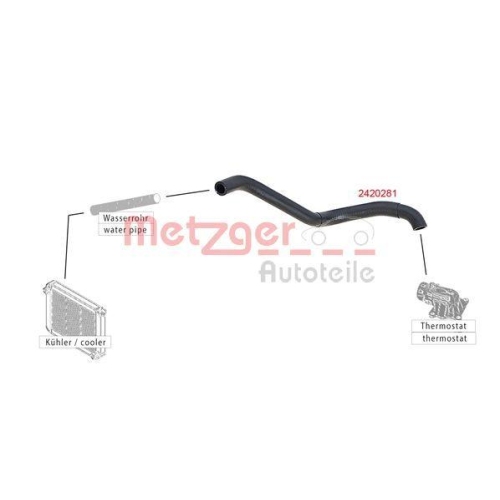 K&uuml;hlerschlauch METZGER 2420281 f&uuml;r CITRO&Euml;N PEUGEOT