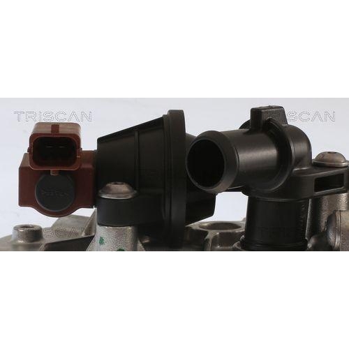 K&uuml;hler, Abgasr&uuml;ckf&uuml;hrung TRISCAN 8813 10107 f&uuml;r ALFA ROMEO CHRYSLER FIAT LANCIA