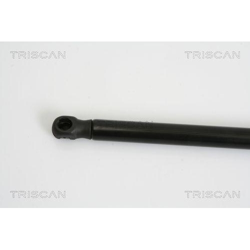 Gasfeder, Koffer-/Laderaum TRISCAN 8710 29279 f&uuml;r AUDI, hinten links
