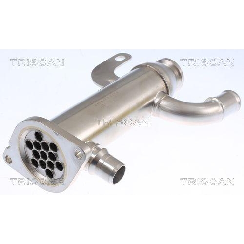 K&uuml;hler, Abgasr&uuml;ckf&uuml;hrung TRISCAN 8813 10109 f&uuml;r CITRO&Euml;N FORD PEUGEOT VOLVO