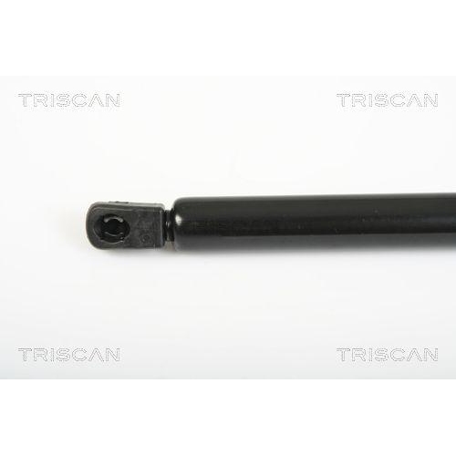 Gasfeder, Koffer-/Laderaum TRISCAN 8710 29280 f&uuml;r VW, hinten links