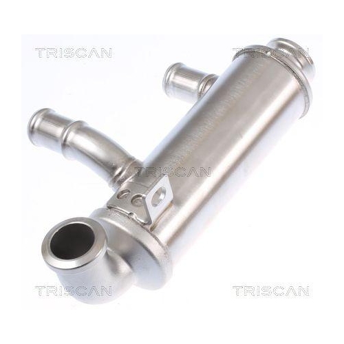 K&uuml;hler, Abgasr&uuml;ckf&uuml;hrung TRISCAN 8813 10110 f&uuml;r CITRO&Euml;N FIAT FORD PEUGEOT