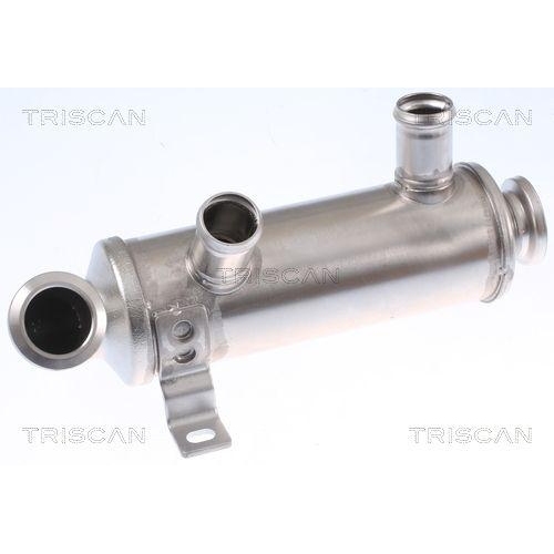 K&uuml;hler, Abgasr&uuml;ckf&uuml;hrung TRISCAN 8813 10111 f&uuml;r CITRO&Euml;N FORD PEUGEOT HITACHI