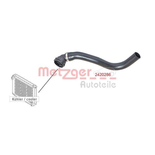 K&uuml;hlerschlauch METZGER 2420286 f&uuml;r FIAT, mitte links