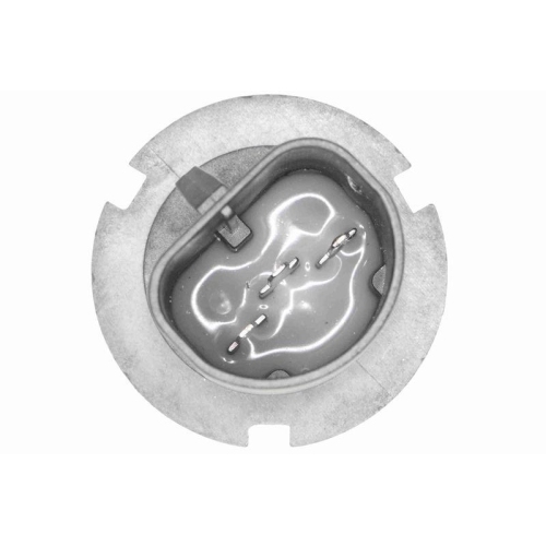 Gl&uuml;hlampe VEMO V99-84-0084 Original VEMO Qualit&auml;t f&uuml;r