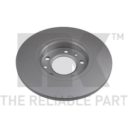 NK 313749 2 St&uuml;ck Bremsscheiben f&uuml;r CITRO&Euml;N OPEL PEUGEOT TOYOTA VAUXHALL DS, Hinterachse