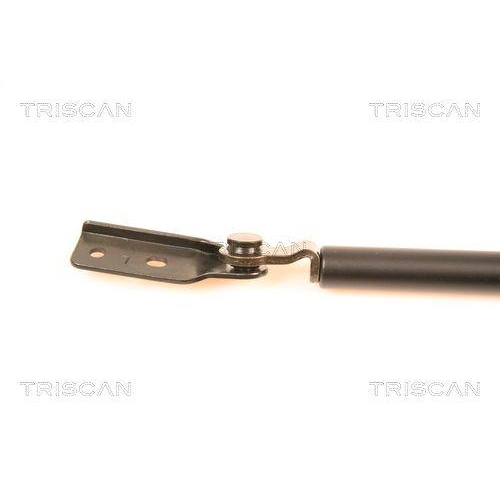 Gasfeder, Koffer-/Laderaum TRISCAN 8710 40213 f&uuml;r HONDA, links