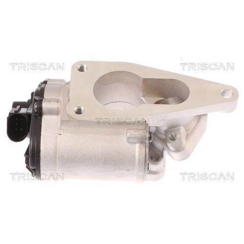 AGR-Ventil TRISCAN 8813 25012 f&uuml;r RENAULT SUZUKI