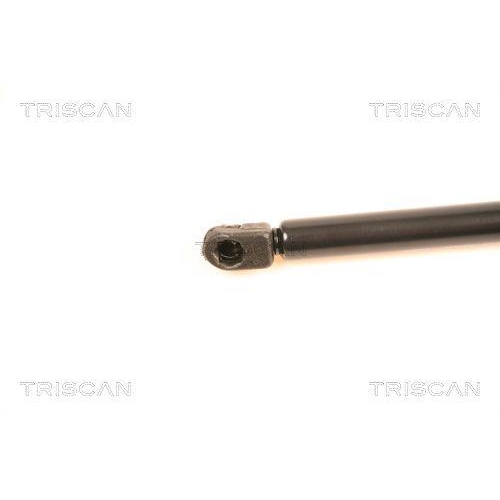 Gasfeder, Koffer-/Laderaum TRISCAN 8710 40220 f&uuml;r HONDA