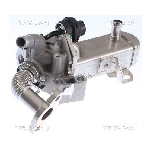 K&uuml;hler, Abgasr&uuml;ckf&uuml;hrung TRISCAN 8813 14031 f&uuml;r NISSAN