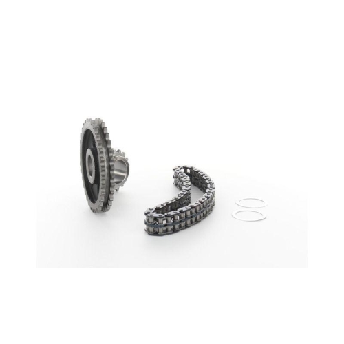 Steuerkettensatz SKF VKML 81008 f&uuml;r AUDI SEAT SKODA VW