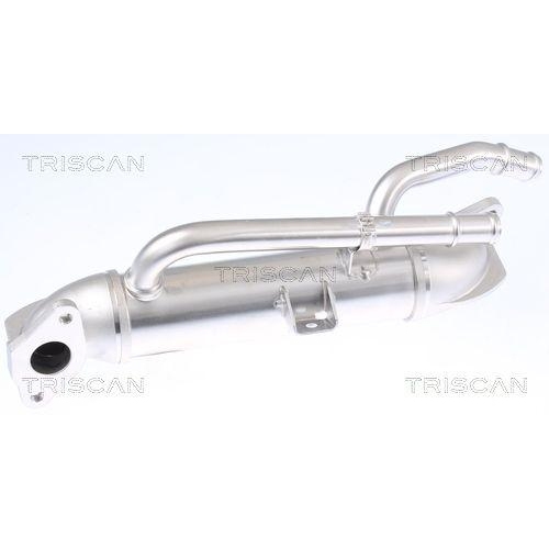 Kühler, Abgasrückführung TRISCAN 8813 15070 für