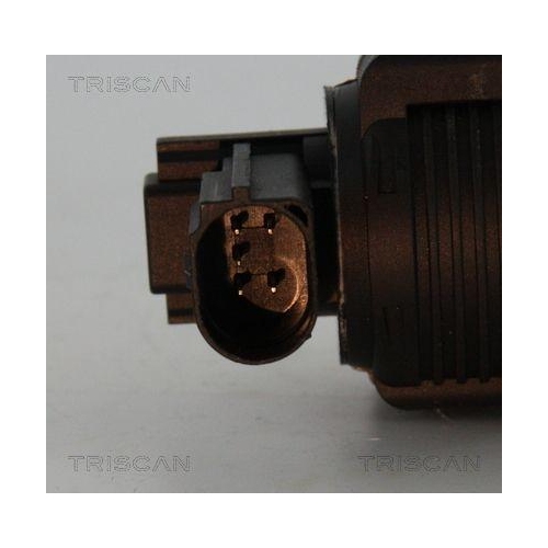 AGR-Ventil TRISCAN 8813 25038 f&uuml;r NISSAN RENAULT DACIA