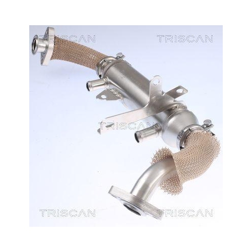 K&uuml;hler, Abgasr&uuml;ckf&uuml;hrung TRISCAN 8813 15071 f&uuml;r FIAT LANCIA