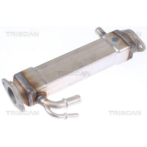 K&uuml;hler, Abgasr&uuml;ckf&uuml;hrung TRISCAN 8813 15073 f&uuml;r FIAT