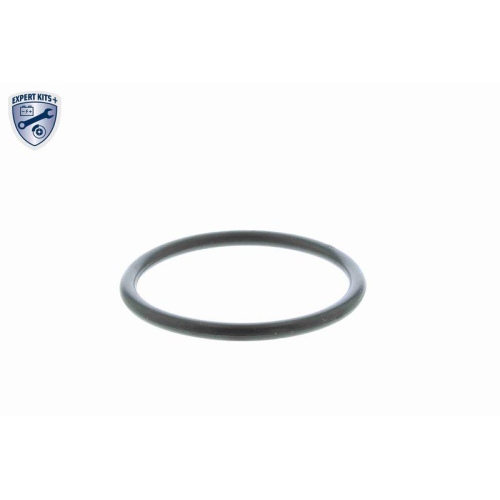 Thermostat, K&uuml;hlmittel VEMO V15-99-2002-1 EXPERT KITS + f&uuml;r AUDI CHRYSLER DODGE