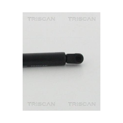 Gasfeder, Koffer-/Laderaum TRISCAN 8710 29296 f&uuml;r AUDI, hinten links