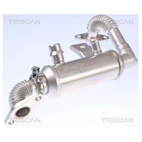 K&uuml;hler, Abgasr&uuml;ckf&uuml;hrung TRISCAN 8813 16103 f&uuml;r FORD