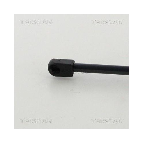 Gasfeder, Koffer-/Laderaum TRISCAN 8710 40235 f&uuml;r HONDA, hinten links
