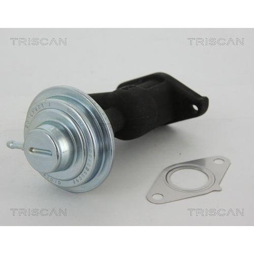 AGR-Ventil TRISCAN 8813 28006 f&uuml;r