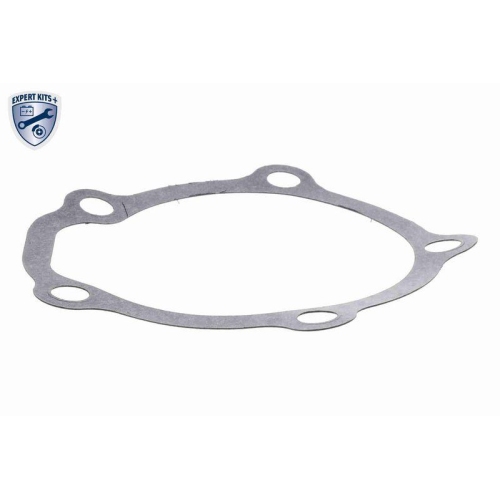 ACKOJA A64-50001 Wasserpumpe, Motork&uuml;hlung EXPERT KITS + f&uuml;r ALFA ROMEO FIAT