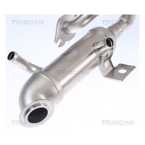 K&uuml;hler, Abgasr&uuml;ckf&uuml;hrung TRISCAN 8813 16105 f&uuml;r FORD