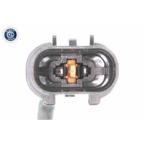 Schalter, Rückfahrleuchte VEMO V52-73-0013 Q+, Erstausrüsterqualität für HYUNDAI