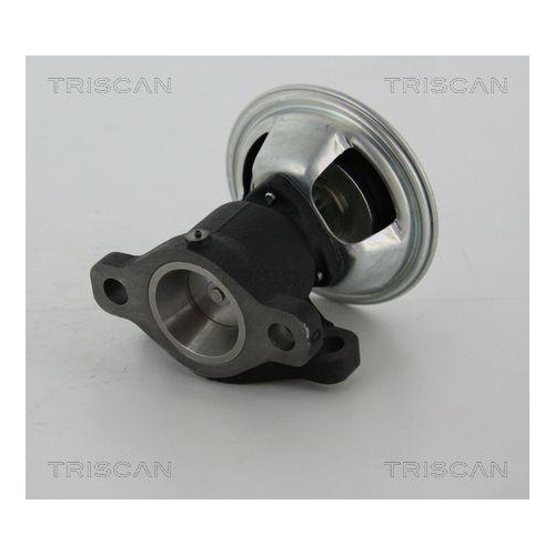 AGR-Ventil TRISCAN 8813 28011 f&uuml;r CITRO&Euml;N FIAT PEUGEOT